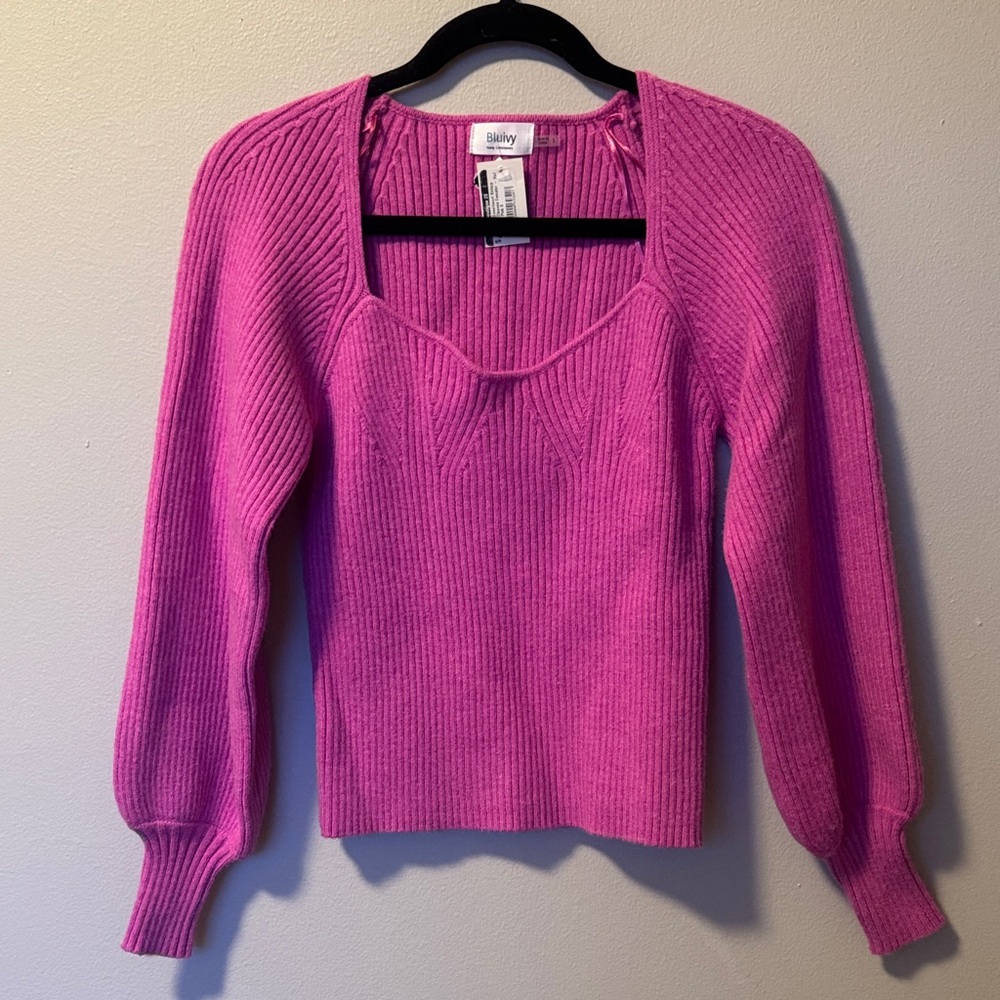 NWT Bluivy Pink Long Sleeve Sweater Top